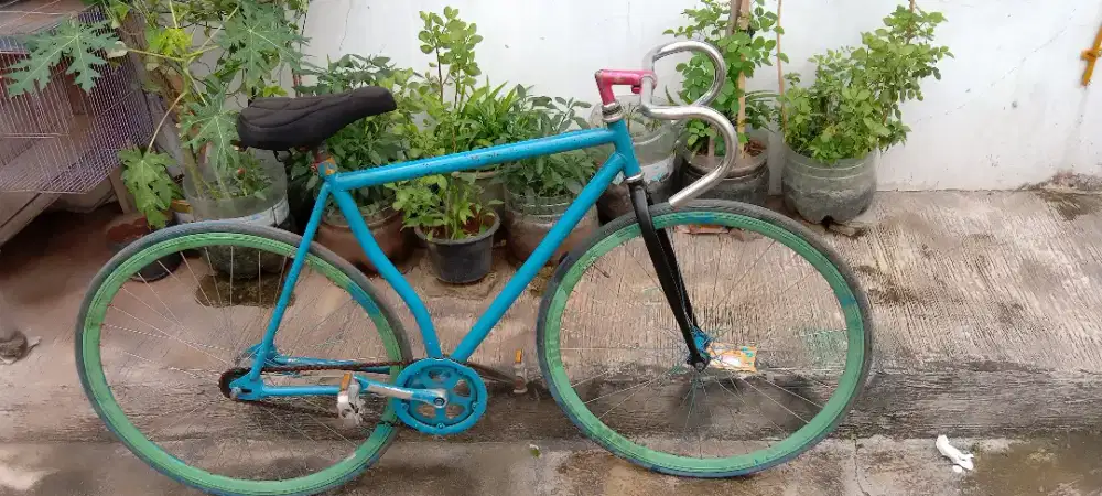 sepeda fixie doltrap