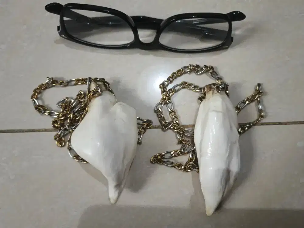 LANGKA : BATU IKAN LAUT DALAM, JUMBO. UTK HOBI MANCING