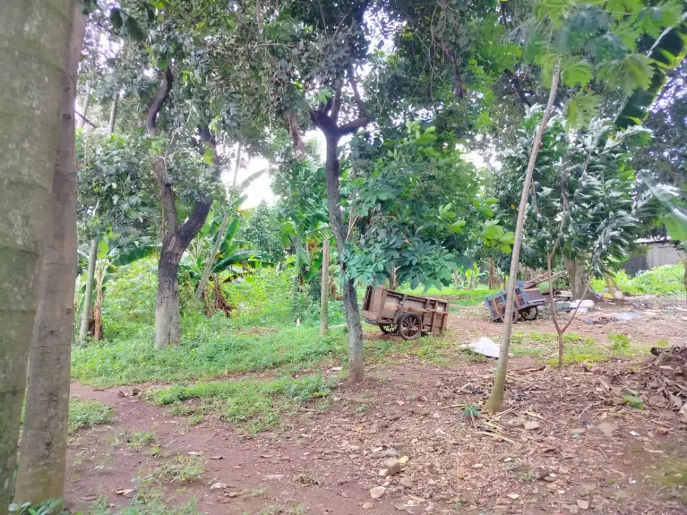 Tanah Strategis Caman Bekasi Barat – 3.312m² SHM, Cocok Cluster!