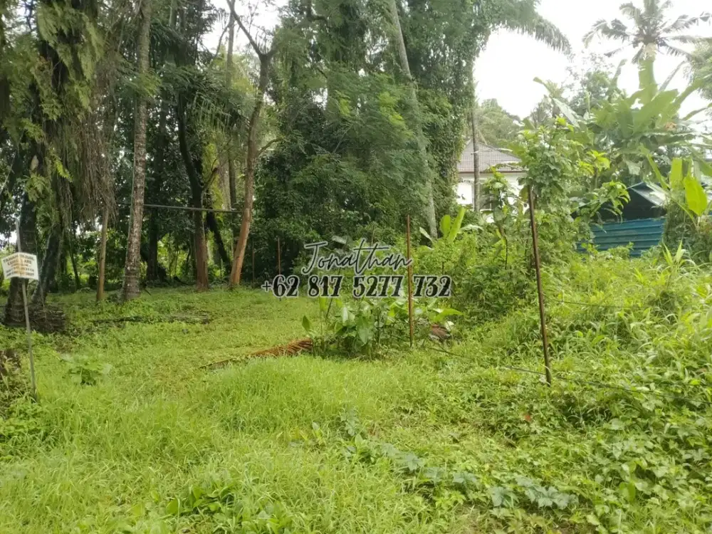 Tanah 300 m2 Zona Kuning Singakerta Ubud Siap Bangun