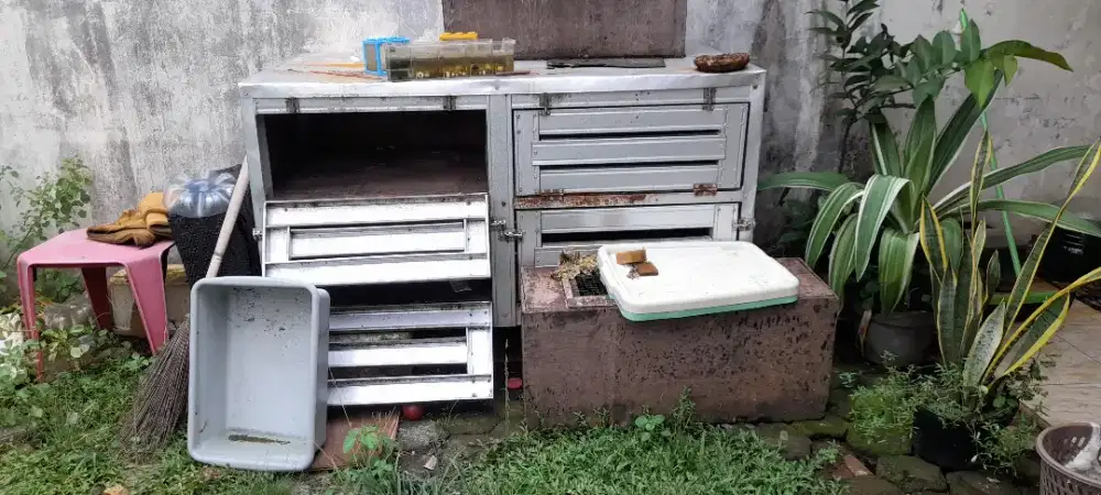 Kandang Reptil, kucing, ayam