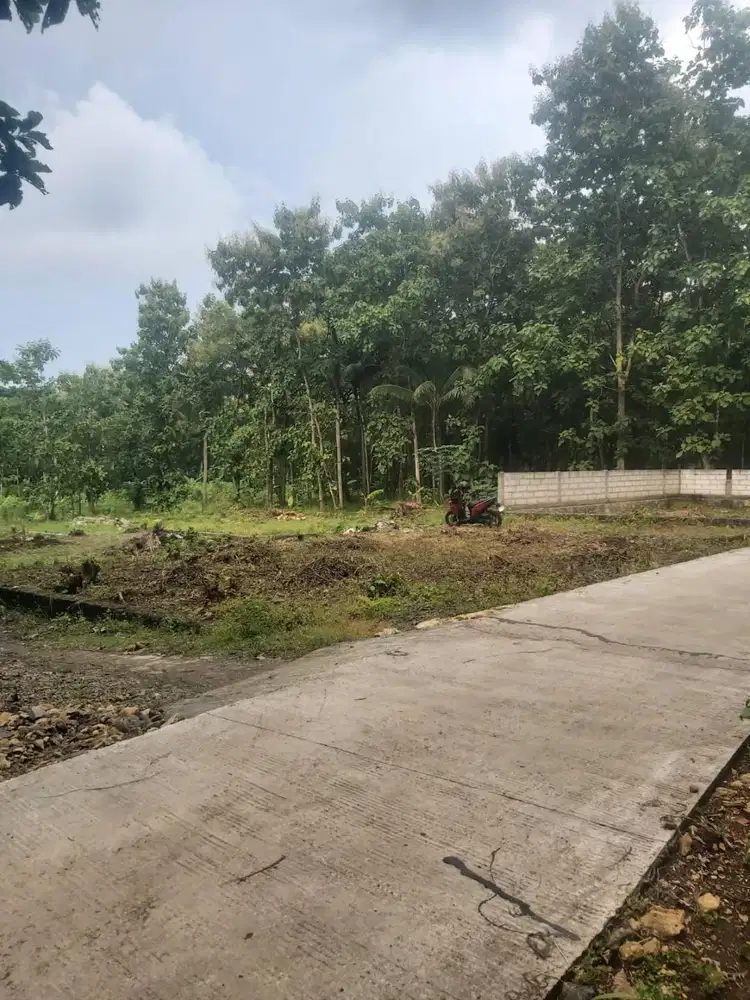 Dijual tanah 116 m2 di Lendah, Kulonprogo. 1,5km kantor lurah Bumirejo