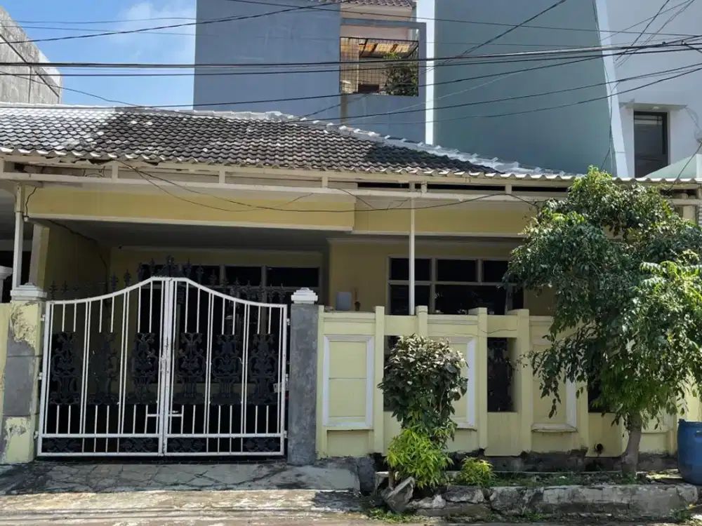 RUMAH MURAH PLUIT JAKARTA UTARA