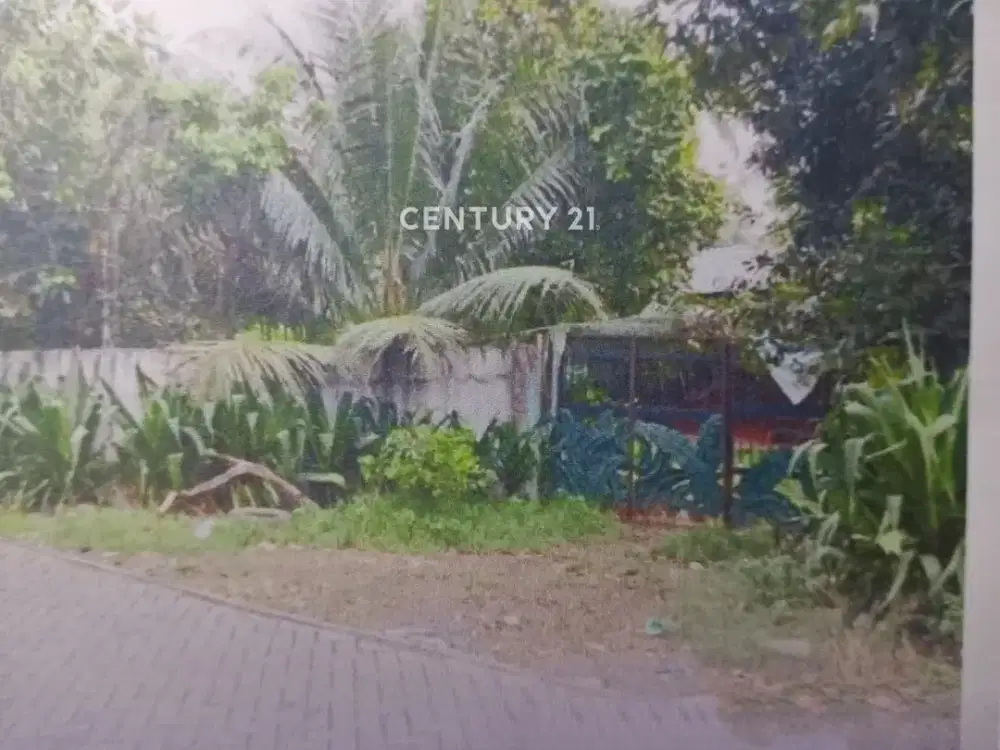 Dijual Kavling Strategis Harga Menarik Di Cipondoh