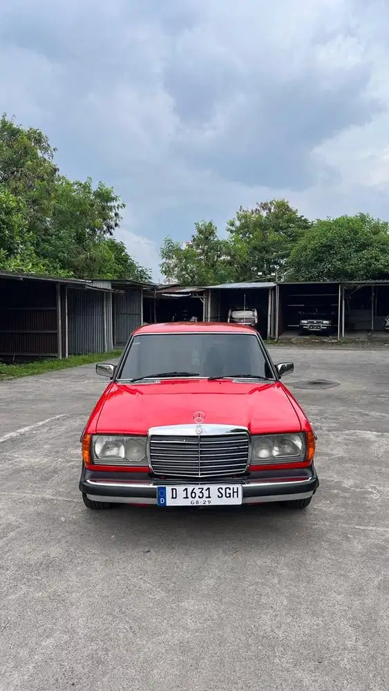 mercedes benz w123 230e (tiger)