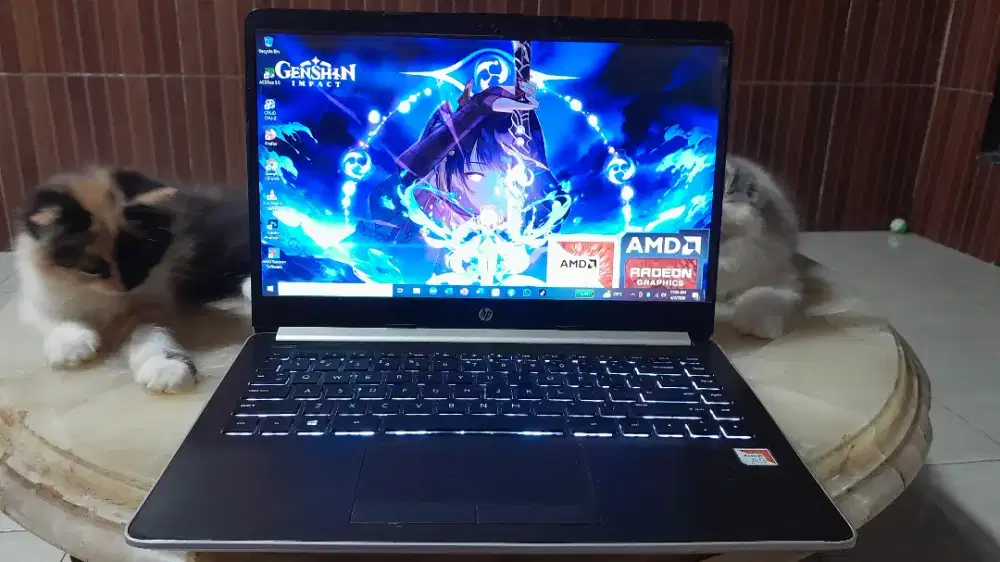 Laptop HP14 AMD A9 Ram8GBssd nvme128GB/500GBRadeonR5&TM520Backlight