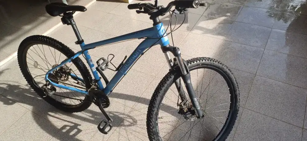 Polygon Cascade Seken mulus