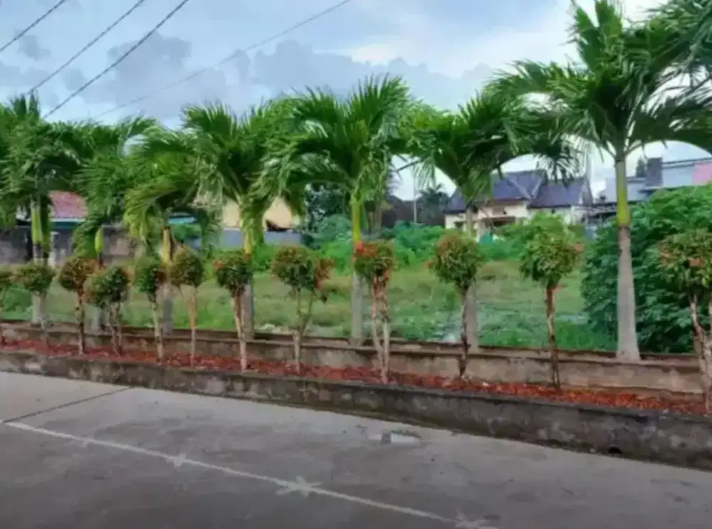 Dijual Tanah dijalan Macan Kumbang siap bangun Lt : 800/m2 Hrg : 2,6 M