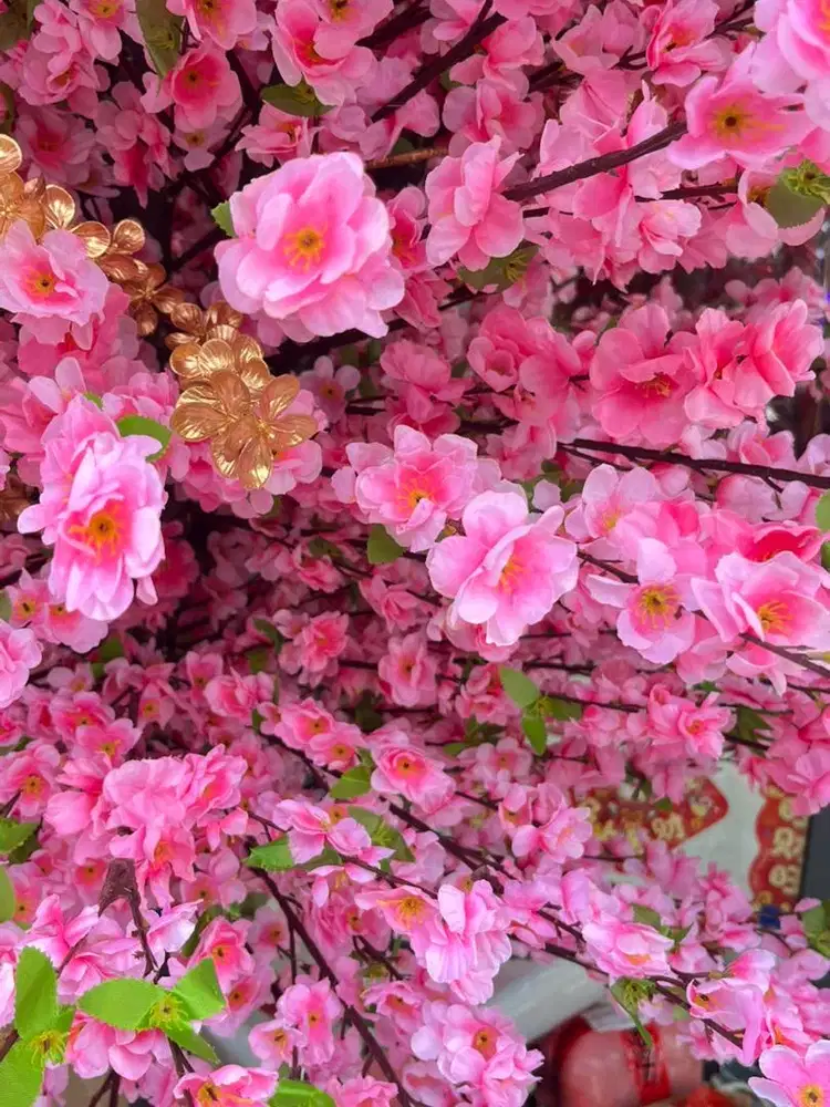 FREELANCE DORONG GEROBAK