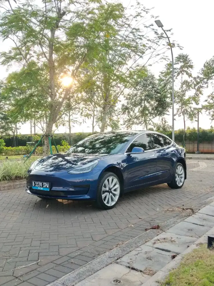 Tesla Model 3 Standard Plus 2021 NIK 2020 Ioniq BYD Jaecoo