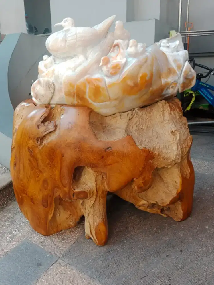 Batu Fosil kaki kayu jati