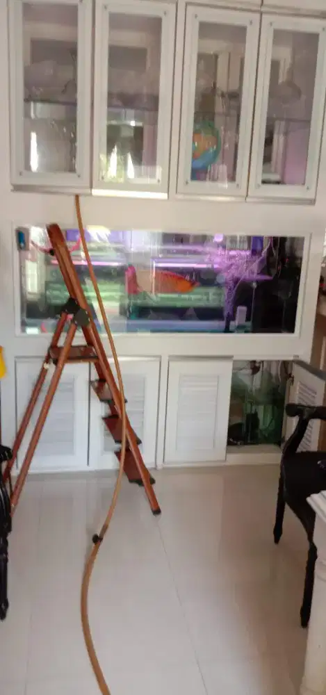 Kuras/membersihkan aquarium/kolam hias