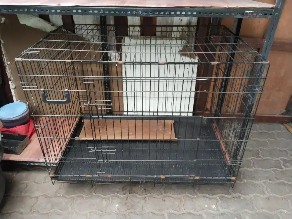 Kandang kucing lipat