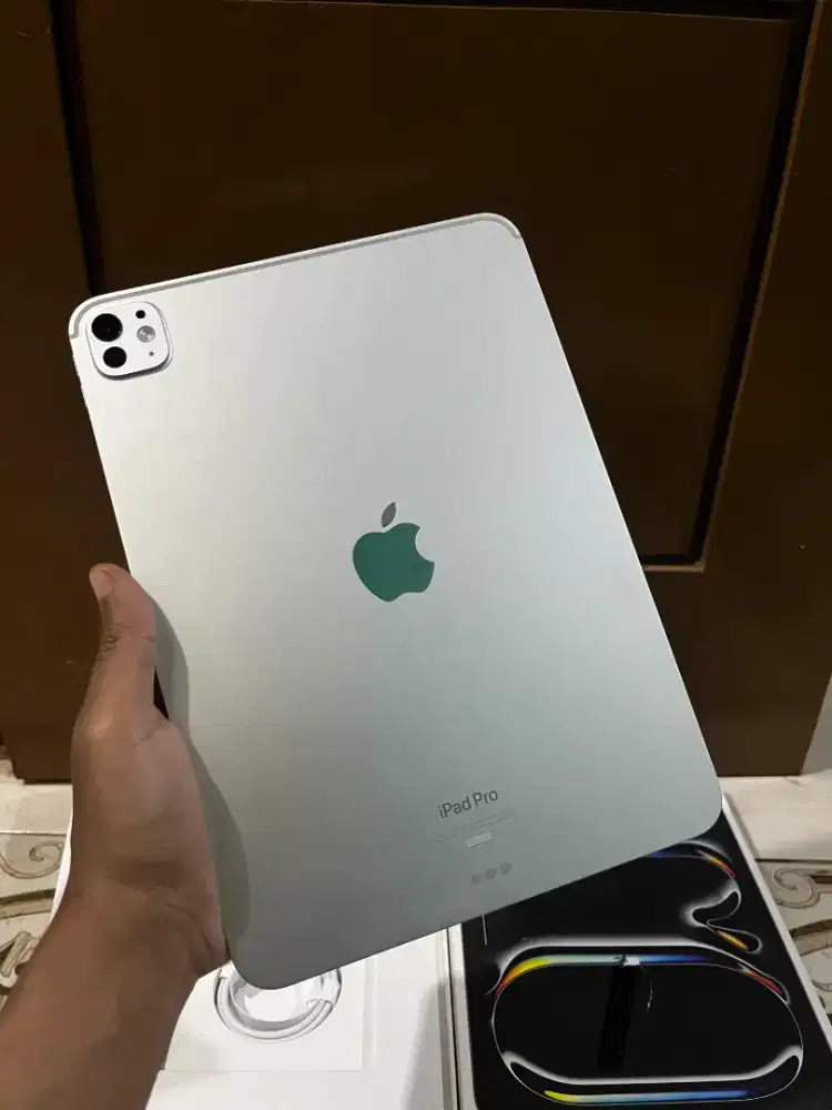 iPad Pro M4 11 inch 256 iBox Like New