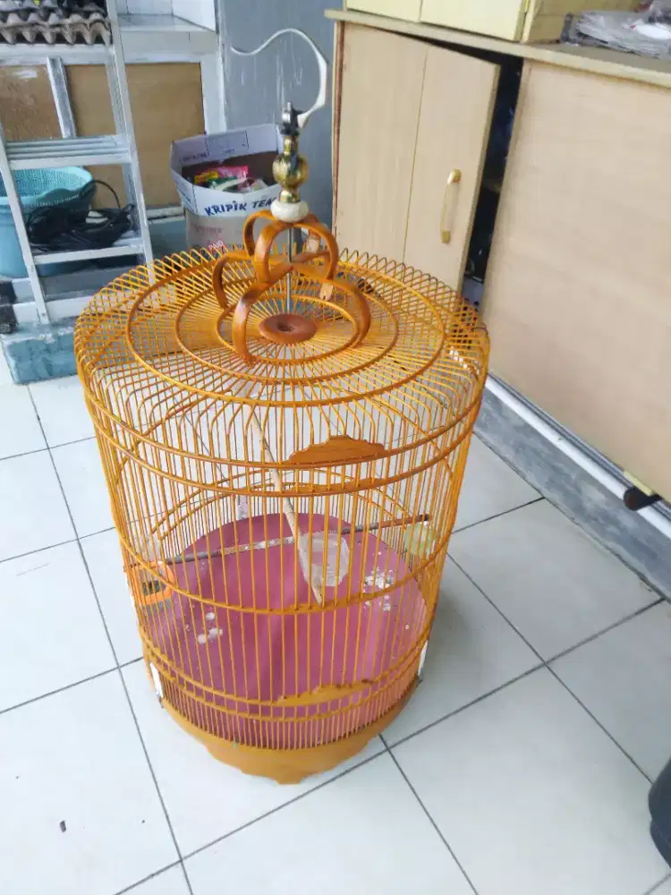 Jual sangkar murai