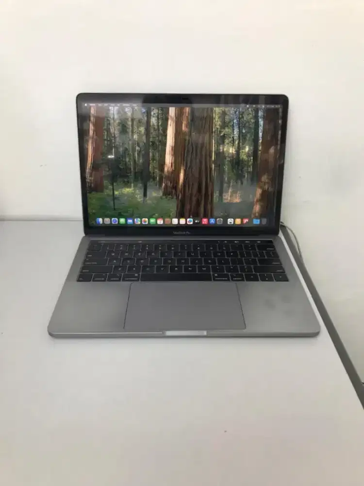 Macbook pro 13 inch 2018