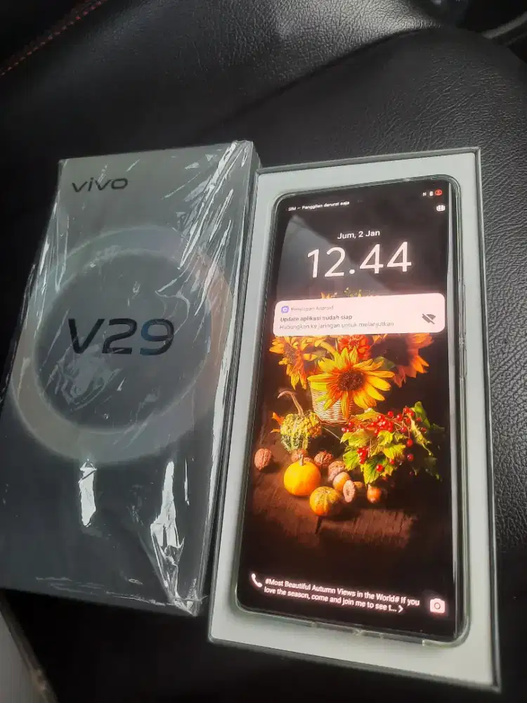 Vivo V29 5g 8/256