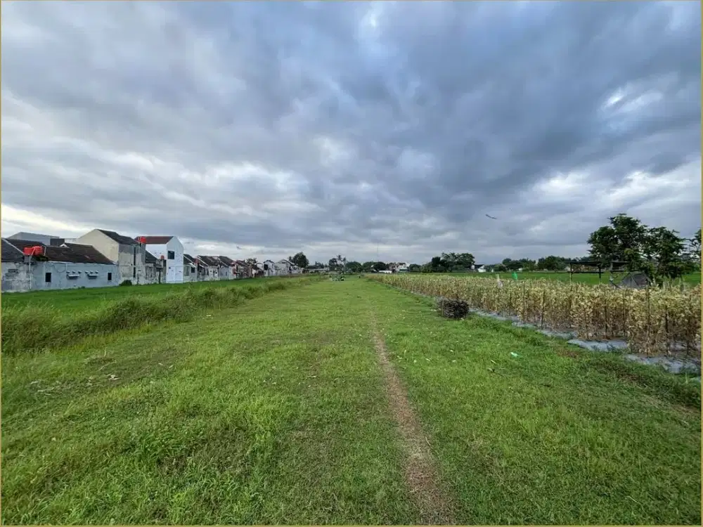 Tanah Pekarangan Murah Sidoarum Sleman Area Kampus Barat