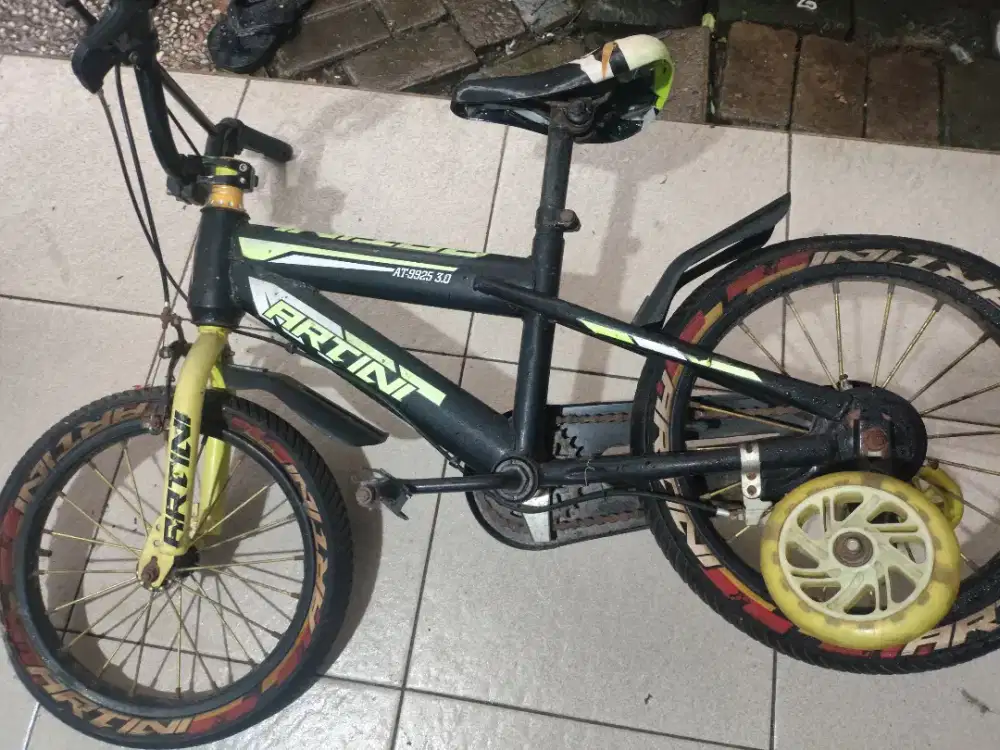 Sepeda anak laki-laki