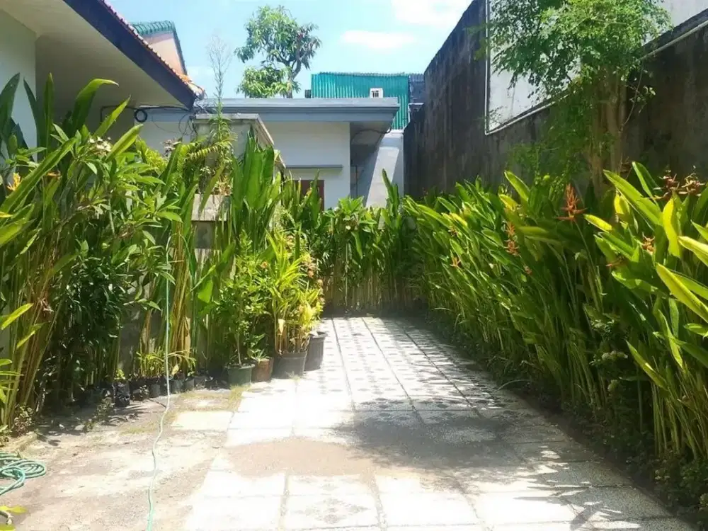 Rumah Mewah 1 Lantai Desaign Traditional Minimalis Disewakan, di Sanur