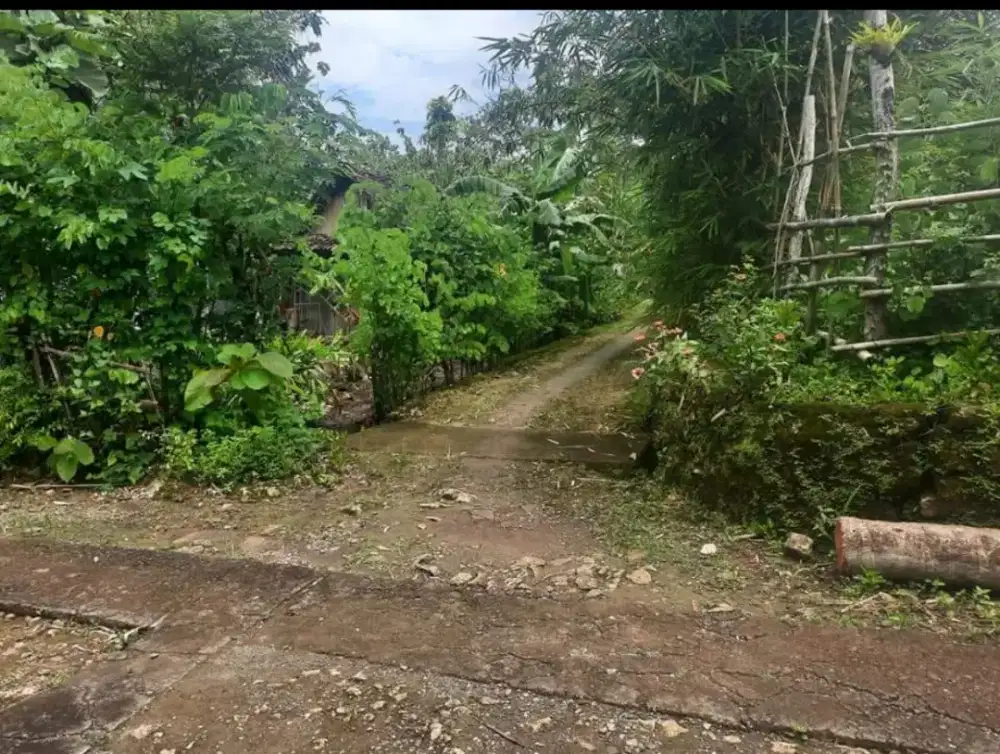 Jual Tanah di Playen Gunung Kidul Yogyakarta