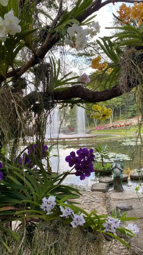 [Bogor] Butuh cepat Pengasuh Bayi 9 Bulan