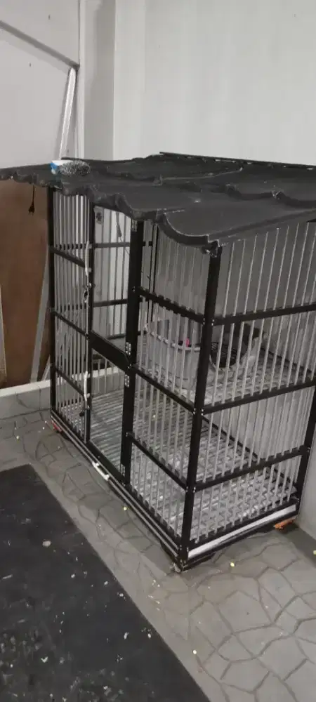 Jual cepat kandang kucing
