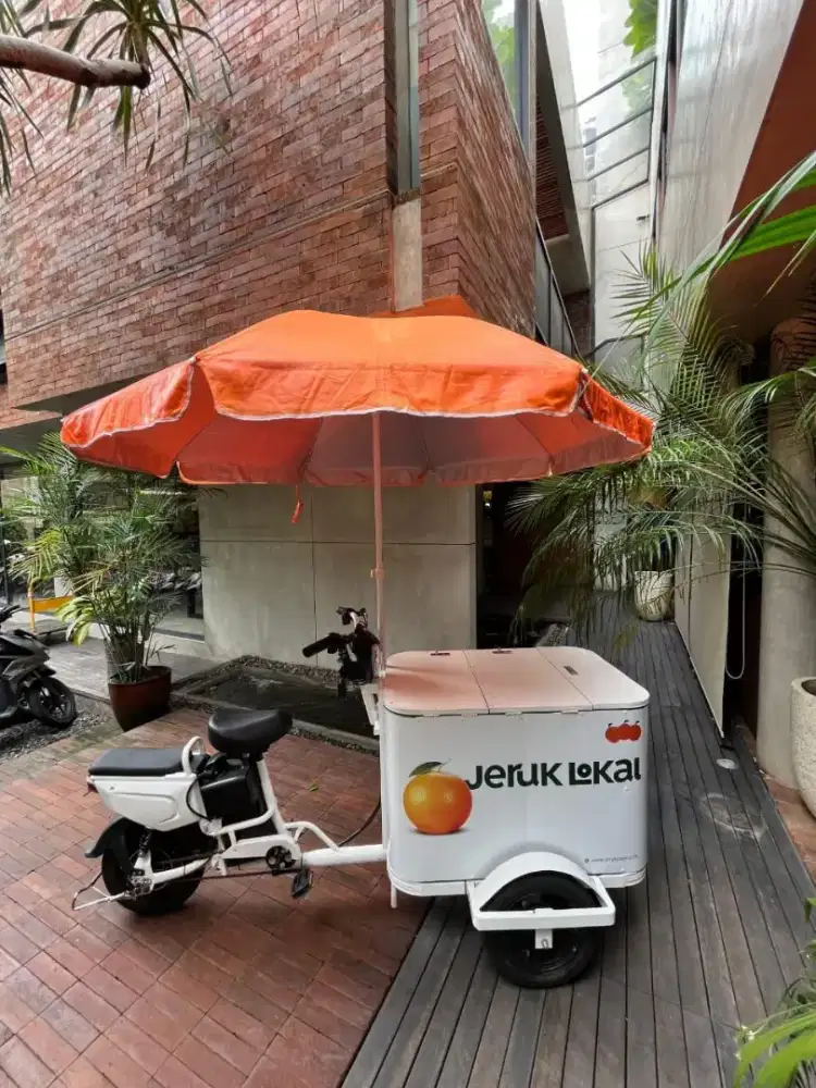 Dijual Gerobak Sepeda Listrik Untuk Usaha