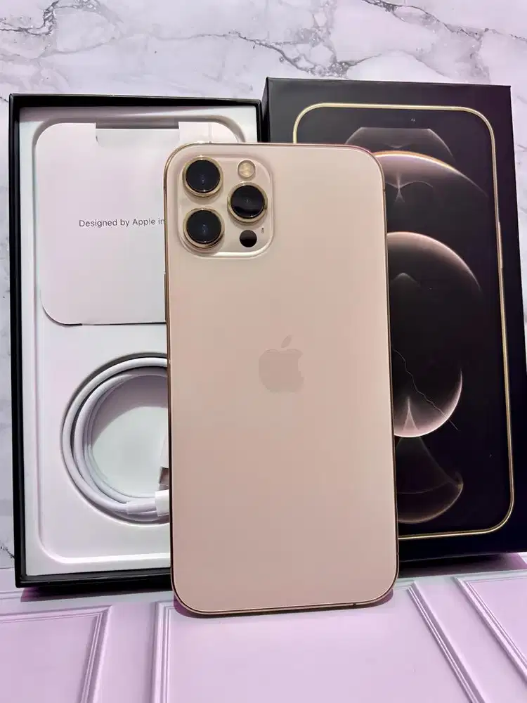 12 promax 256gb regisan