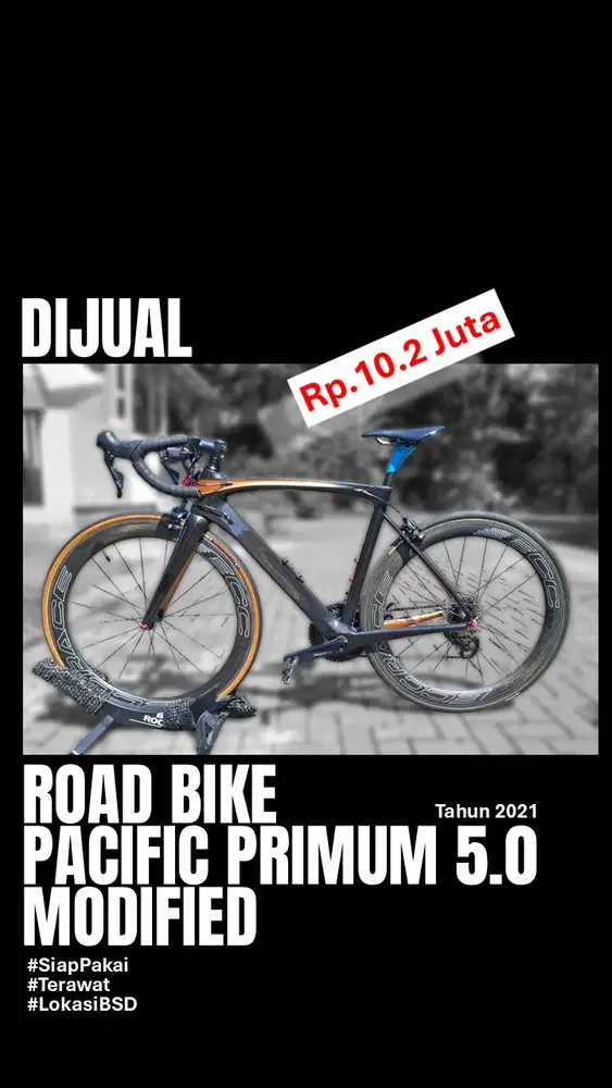 Road Bike Pasific Primum 5.0
