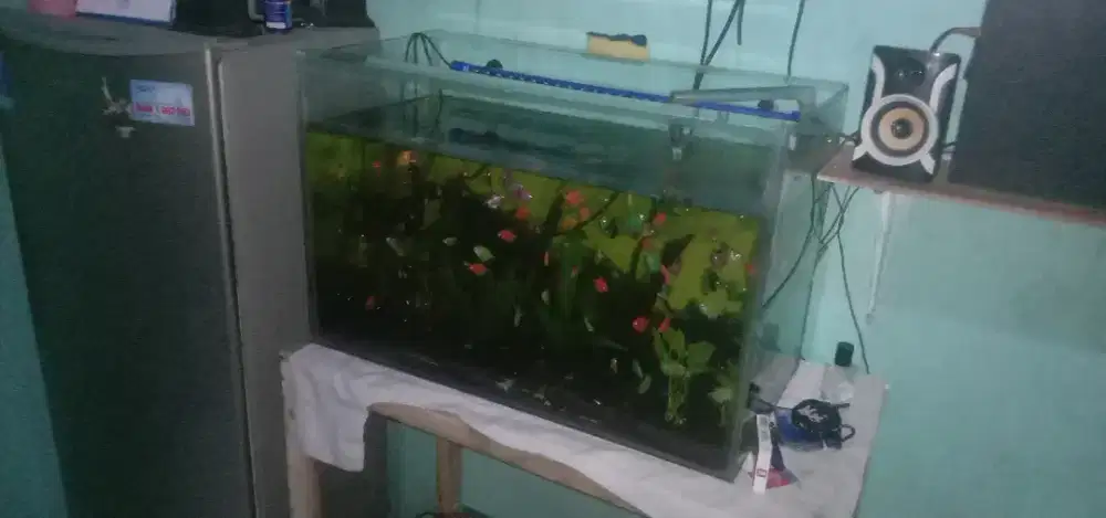 Jual akuarium full set