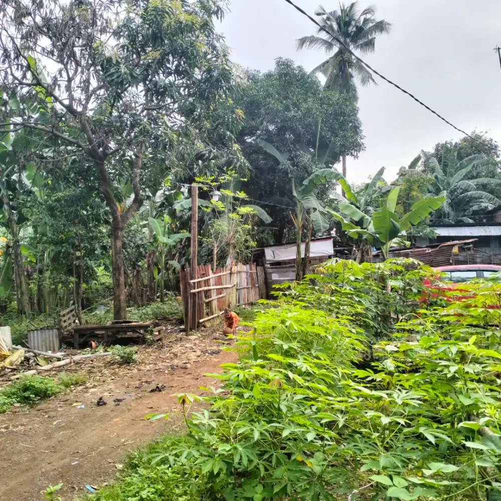 jual termurah sebigang tanah di sekitar antang dalam kota