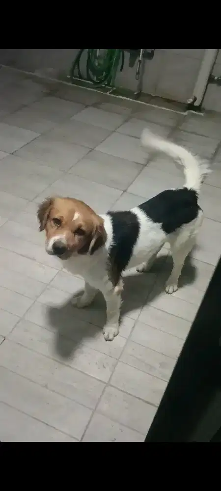 Dibutuhkan ART Perempuan menginap