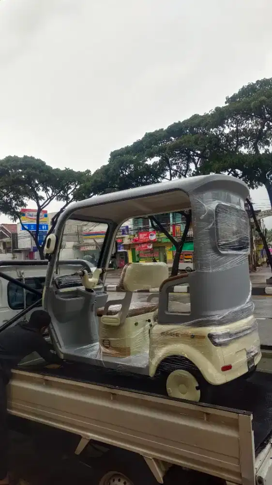 Sepeda listrik saige Lyra Roda 3 bisa najak