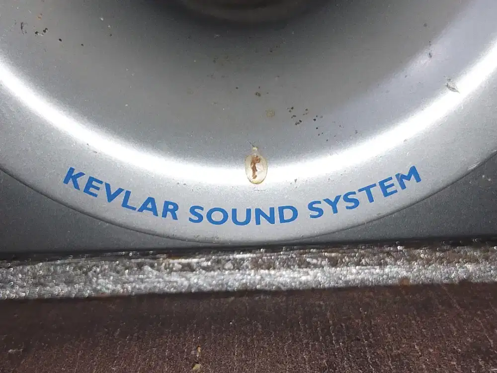 Kevlar Subwoofer by Thomson RCA USA, with Front speaker, box utuh