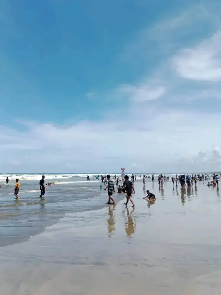 Jasa art PP  harian Serpong bsd dan sekitarnya