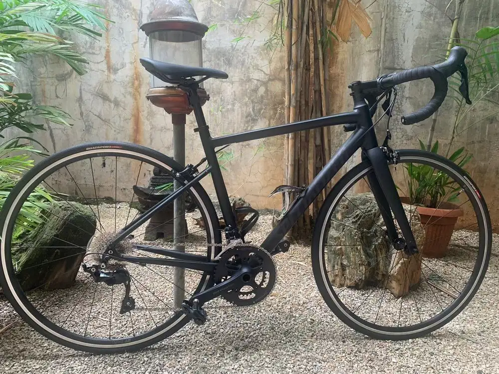 Roadbike Spesialized Allez Elite 2021