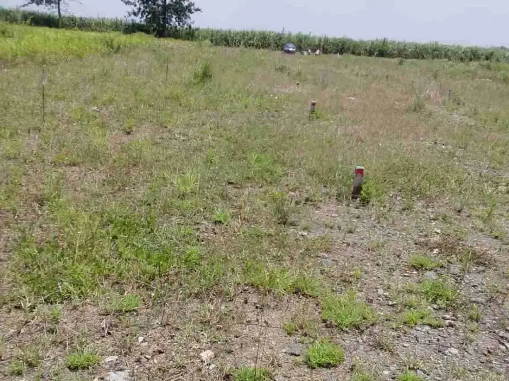 Tanah kavling siap bangun Sukodono bisa kredit surat SHM