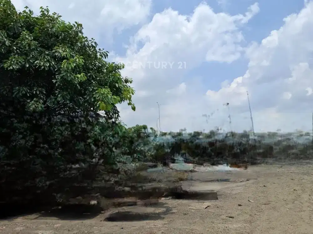 Tanah Padat Strategis Pinggir Jalan Raya Akses Mudah Di Cilincing