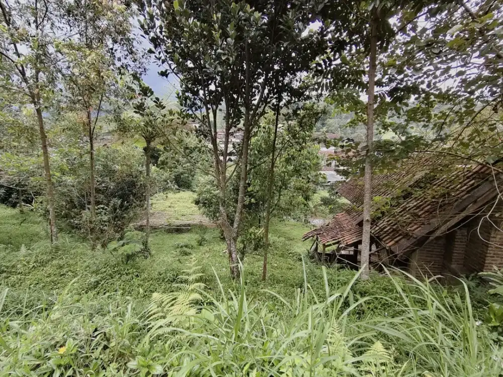 Dijual Tanah Padat Dekat Sungai Cocok untuk Villa & kebun Gambung Ciwidey