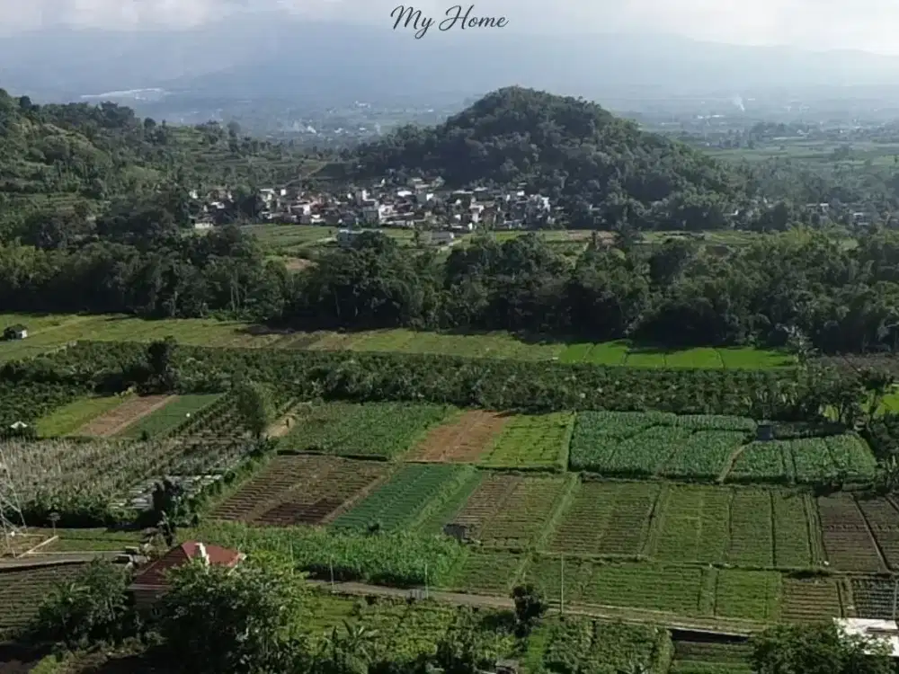 Tanah Murah Pinggir Jalan Paving Dekat Jatim Park 3
