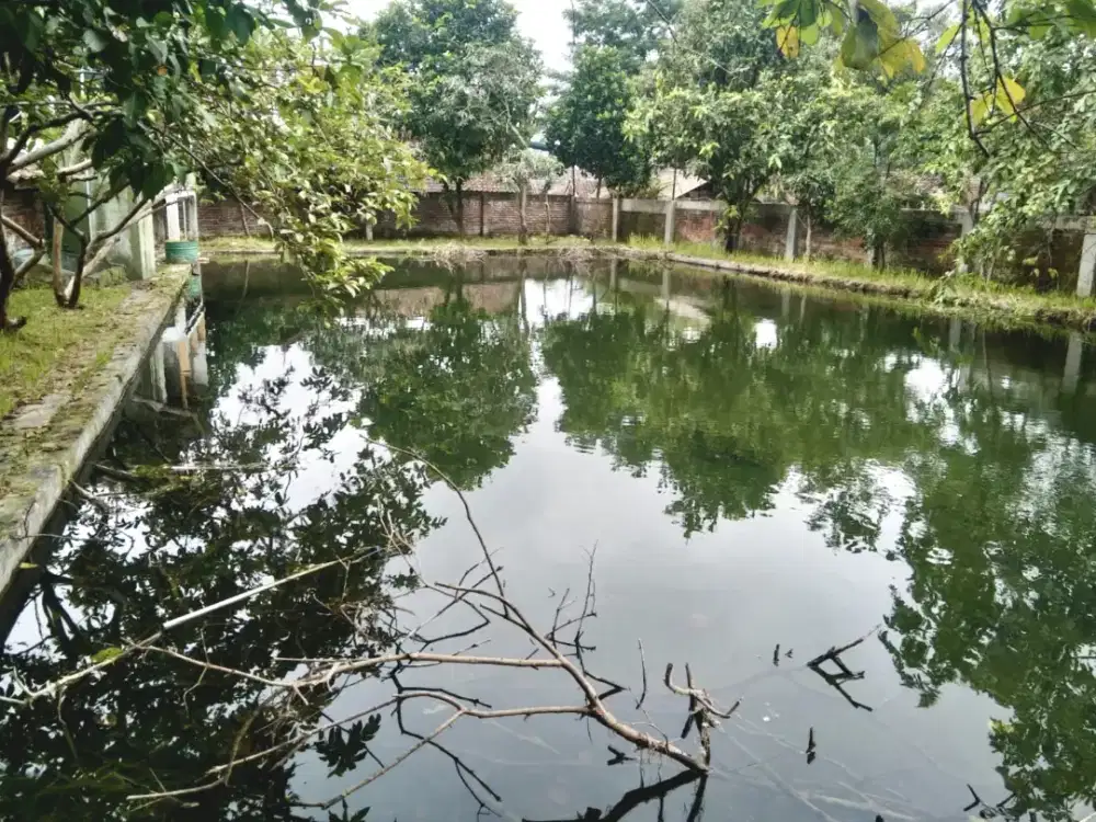 Rumah semi-villa di pusat wisata Cipanas Garut