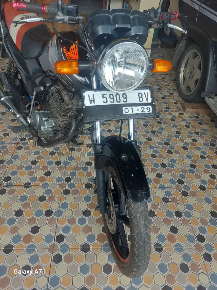 Megapro primus mulus