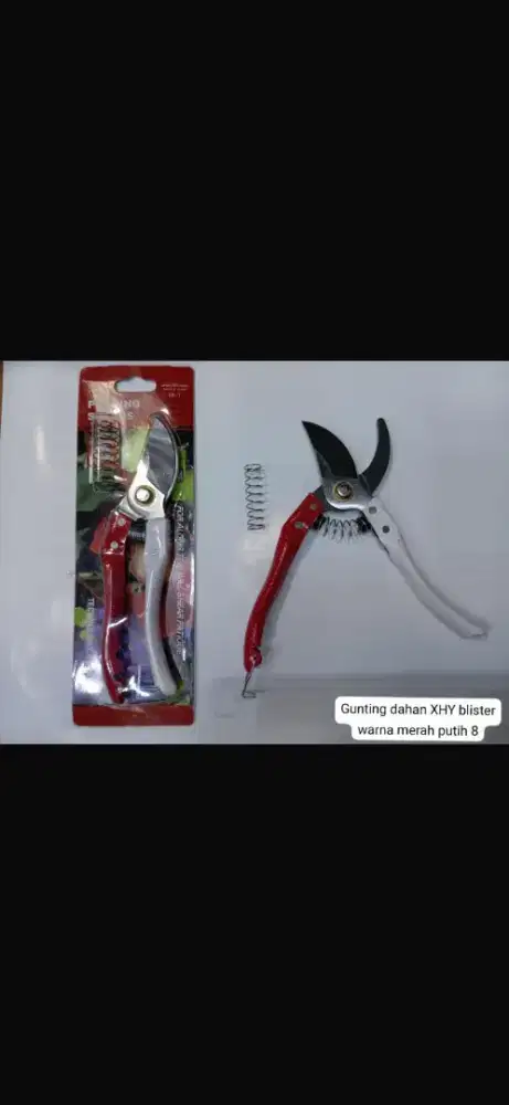 Cari administrasi wanita