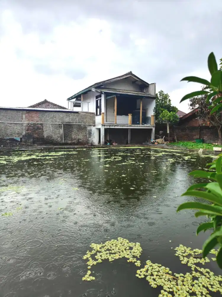 Villa Hidden Gem di Pusat Wisata Cipanas Garut Potensi Bisnis Villa