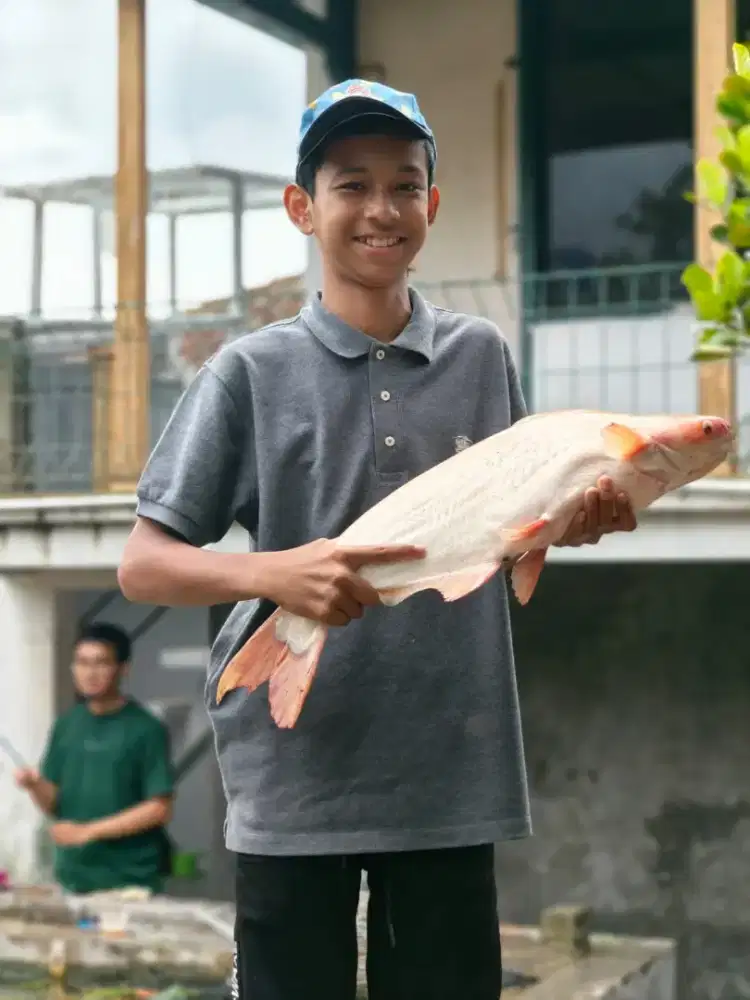 Potensi Bisnis Villa dan lahan luas Cipanas wisata ramai akses mudah