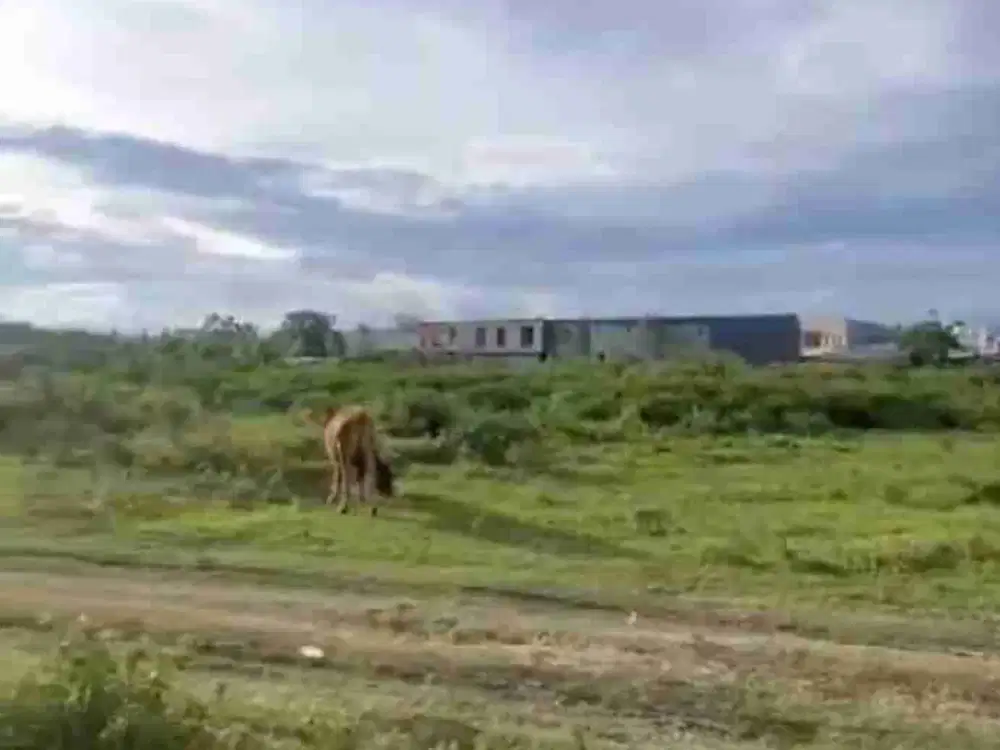 TANAH KAVLING DEKAT KANTOR DPRD JENEPONTO