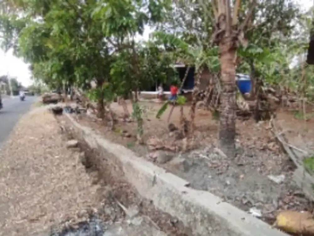 Tanah Murah Imogiri Bantul – Luas 500an m² Pinggir Jalan Aspal!