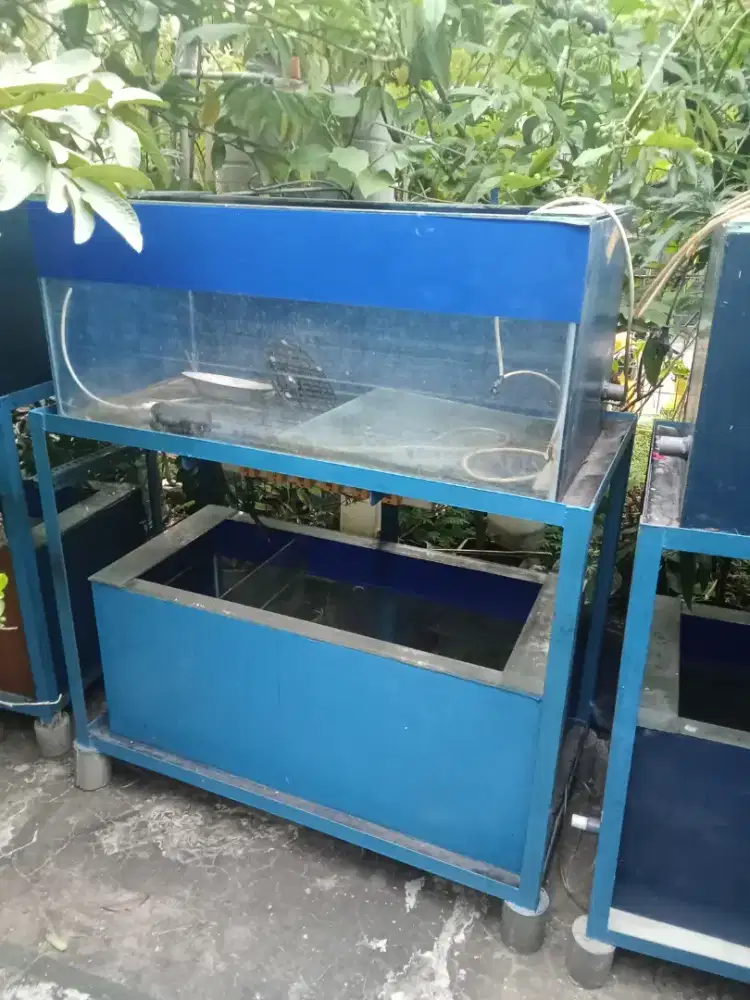 Aquarium Pembesaran total ada 8 unit + Rak kondisi baik , Tdk bocor