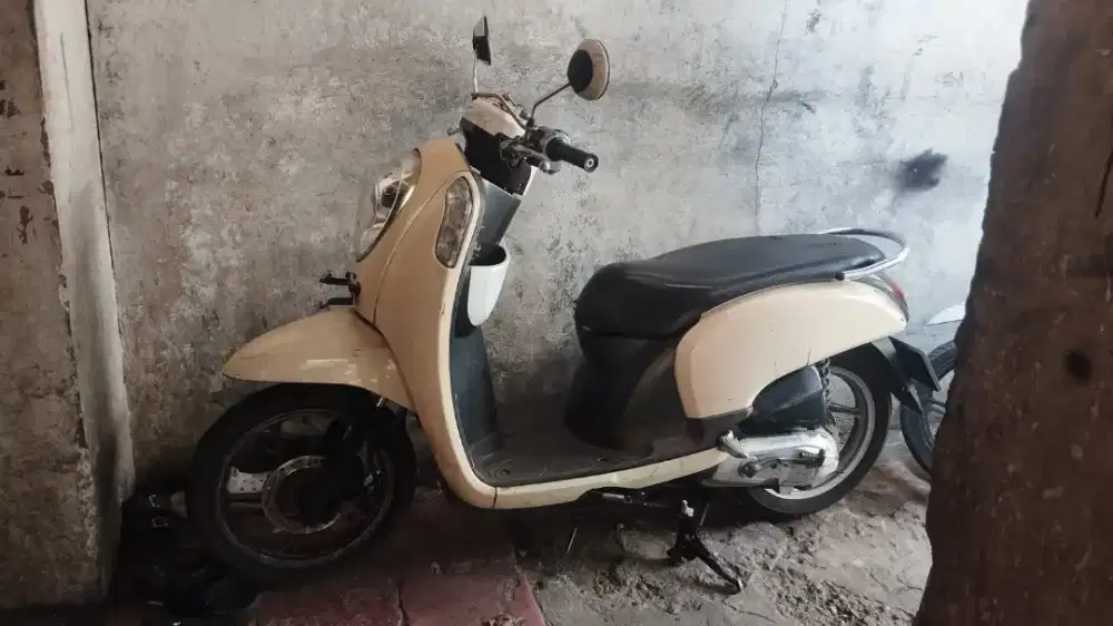 Honda Scoopy Murmer